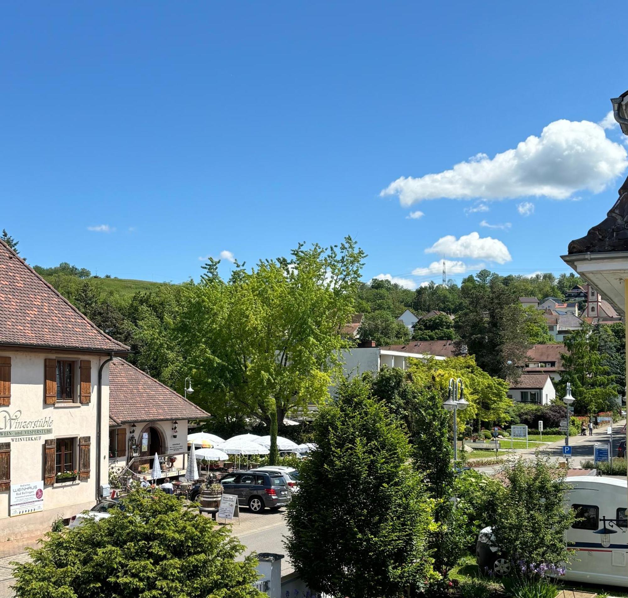 Gesamte Wohnung, Kueche, Parkplatz, Terrasse Bad Bellingen Exteriér fotografie