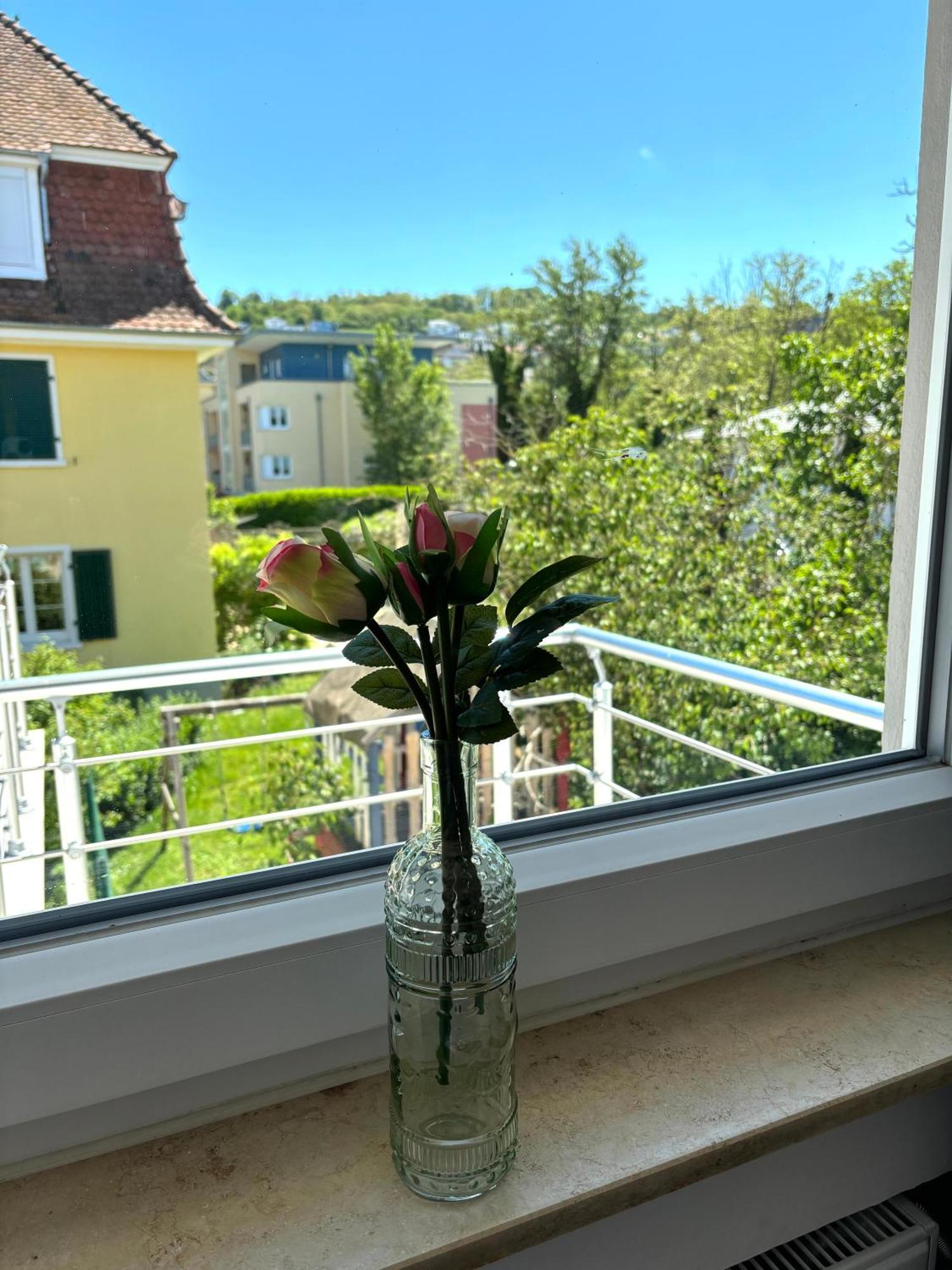 Gesamte Wohnung, Kueche, Parkplatz, Terrasse Bad Bellingen Exteriér fotografie